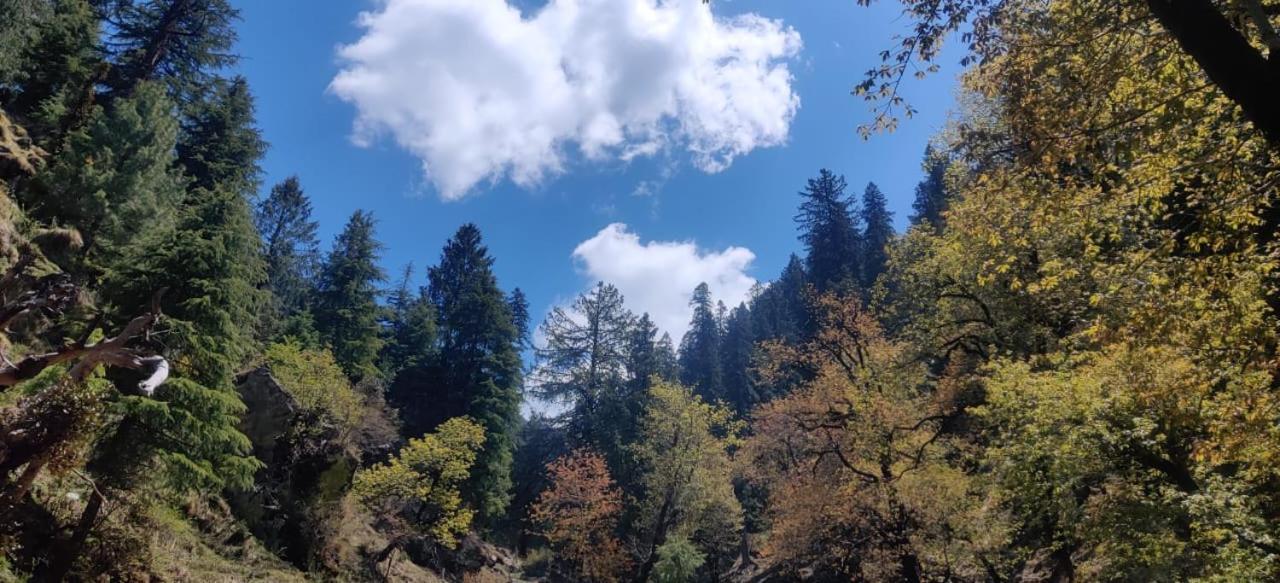 Jibhi Deep In Woods 빌라 외부 사진