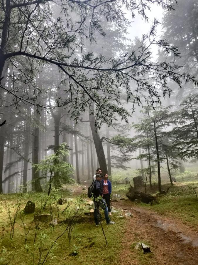 Jibhi Deep In Woods 빌라 외부 사진