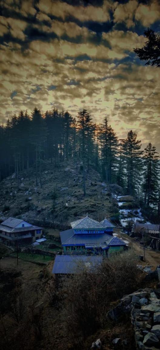 Jibhi Deep In Woods 빌라 외부 사진